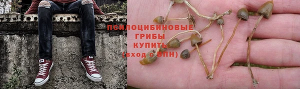 дурь Заволжье