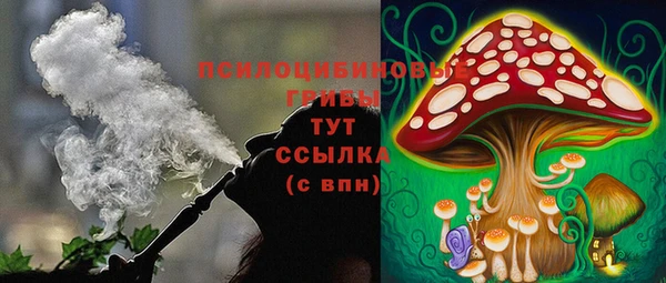 гашиш Заводоуковск
