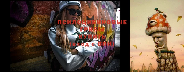 гашиш Заводоуковск