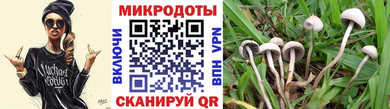 Галлюциногенные грибы прущие грибы Киренск